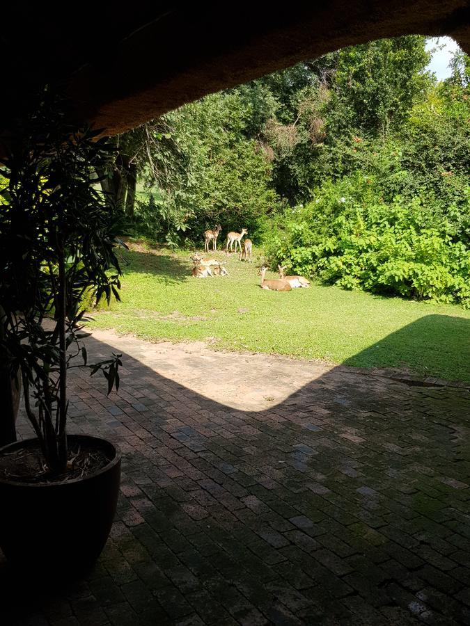 Kruger Park Lodge Unit No. 277 Hazyview Εξωτερικό φωτογραφία